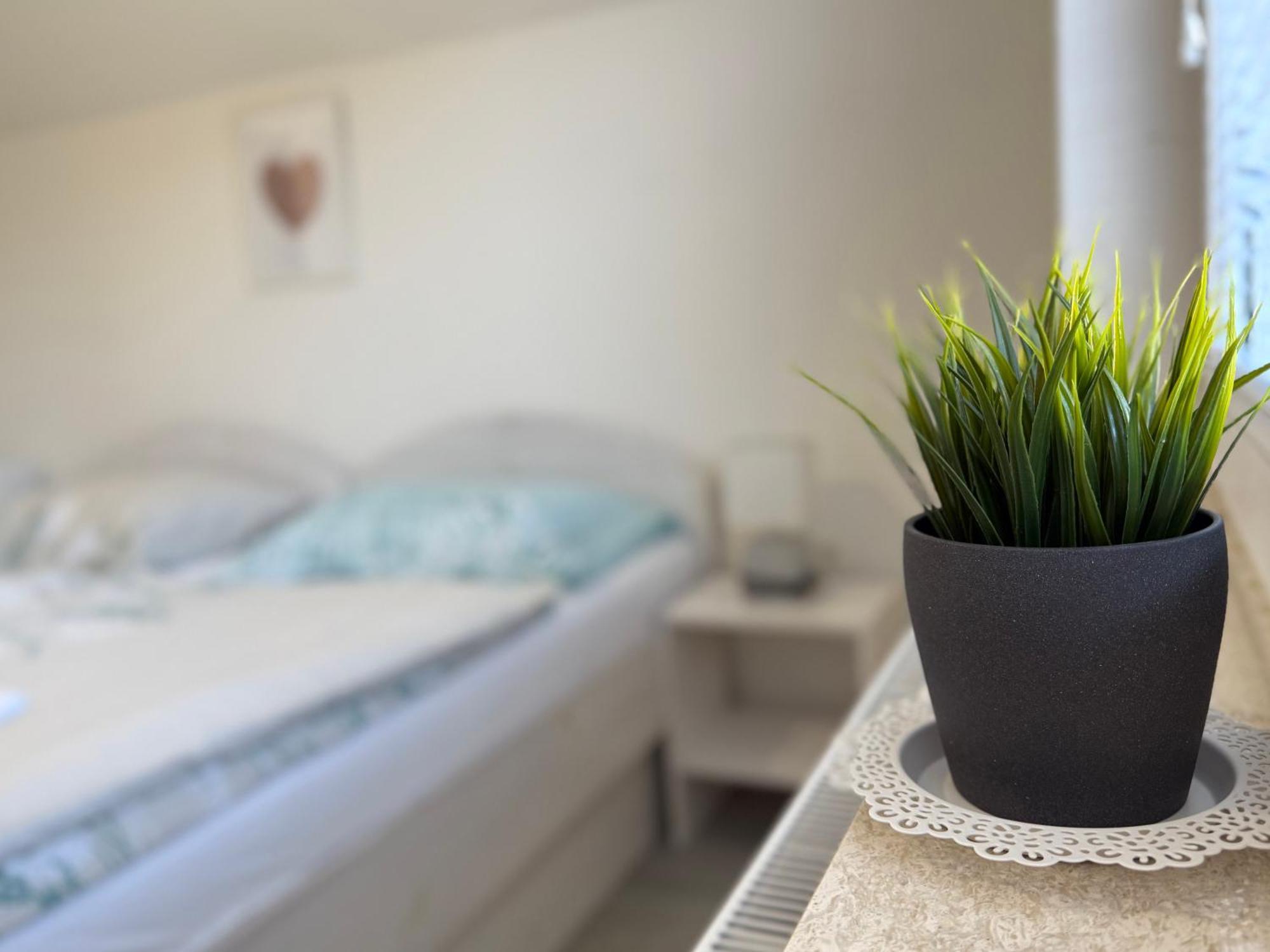 Guest House Kobal Spodnje Gorje Екстер'єр фото